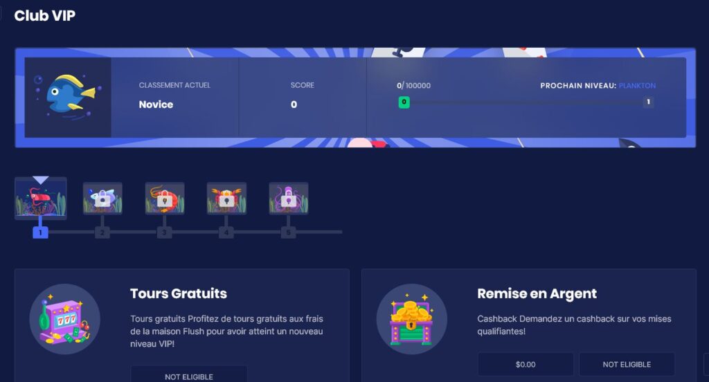 VIP-4-1024x552 Avis Flush Casino Crypto : Jusqu’à 150 % au 1er dépôt | 2025